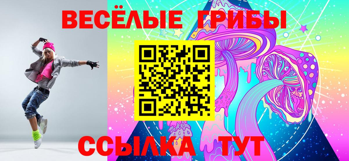 Галлюциногенные грибы Psilocybe Ивантеевка